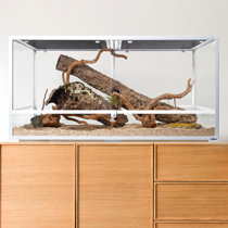 Bearded dragon hot sale tank stand